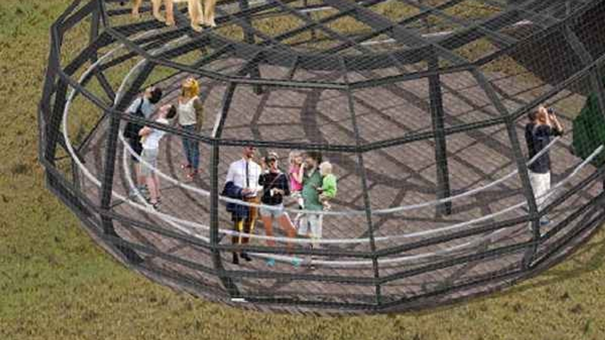 $1.4 Million Monarto Zoo Predator Experience Will Put Visitors in a Lions Den