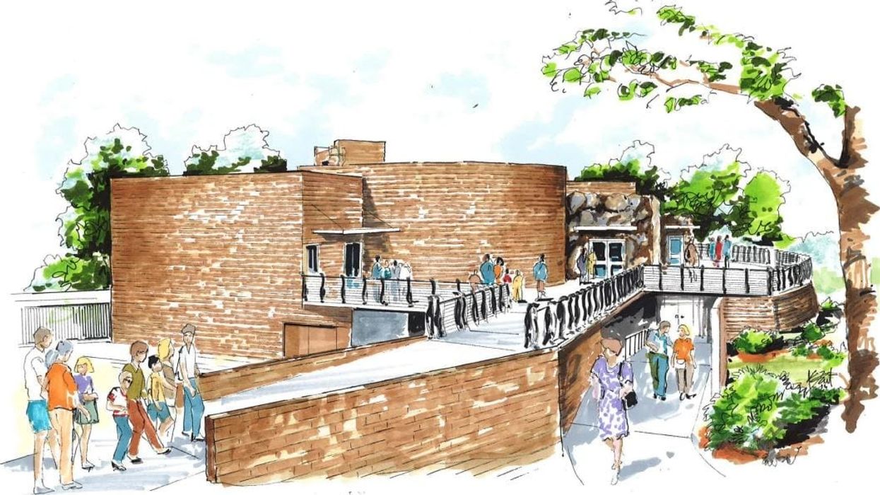 $12 million Penguin Chill exhibit hopes to thaw frozen attendance at Albuquerque BioPark