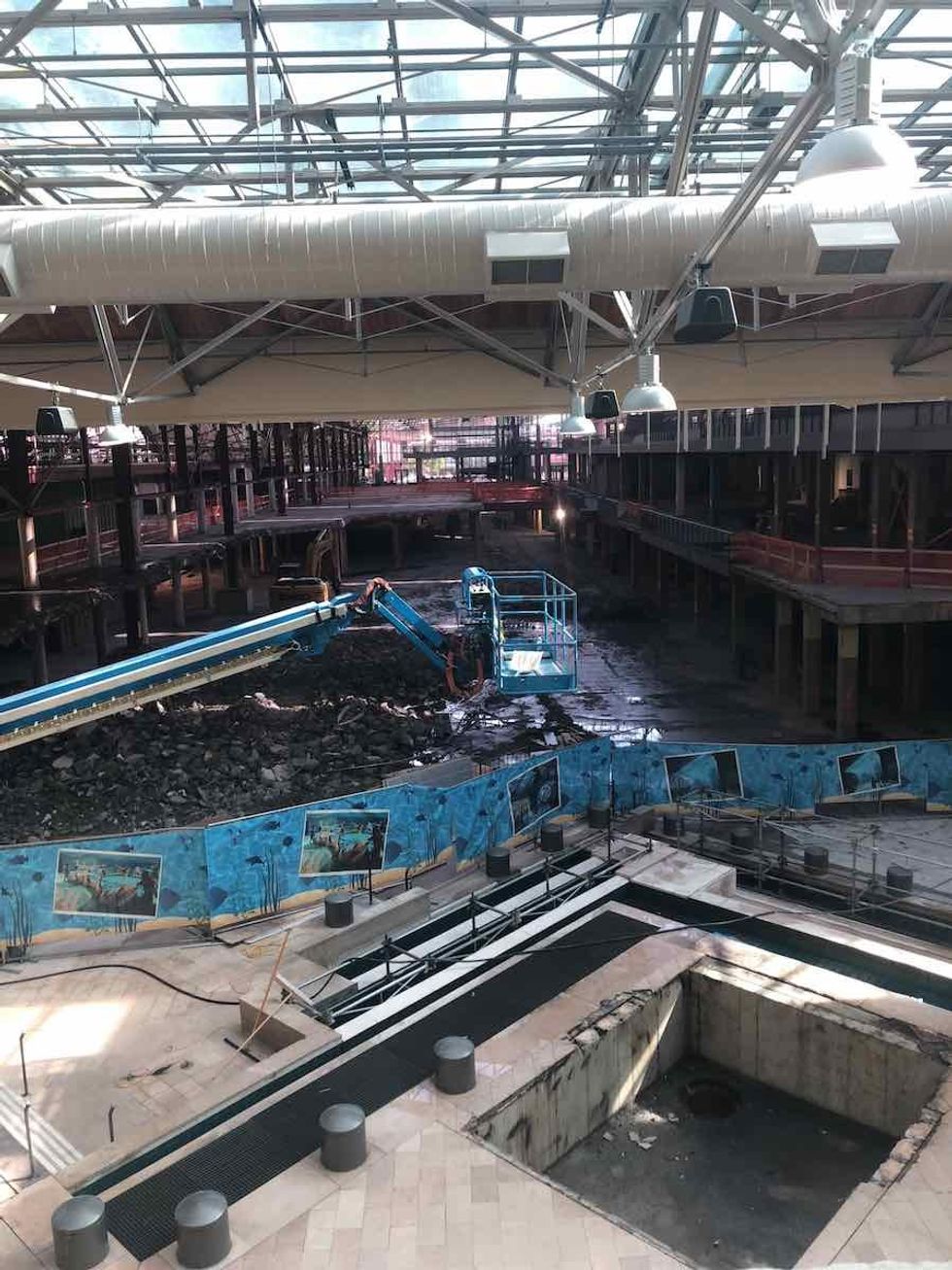 21st century aquarium - st. louis aquarium at union station