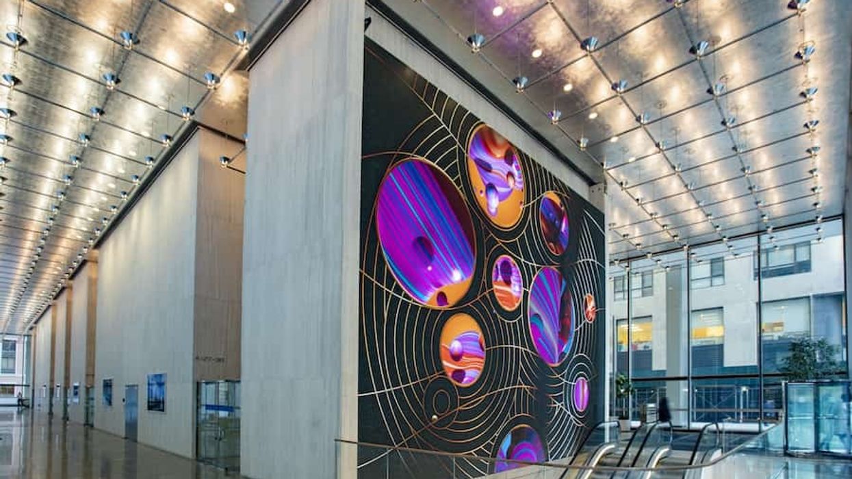 28_Liberty_Smart Monkeys