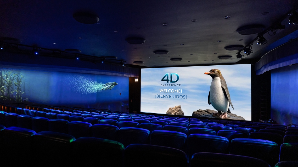 4D theater with penguin display. Text reads "4D Experience, Welcome! ¡Bienvenidos!"