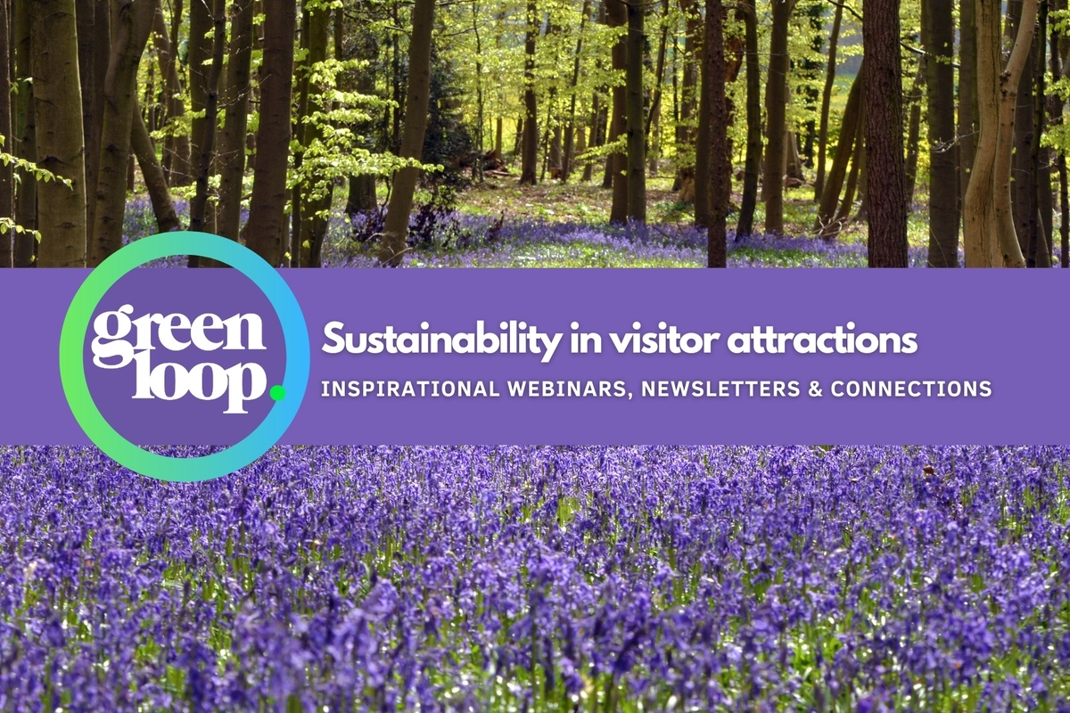 a field of purple bluebells in the woods with a greenloop logo on it