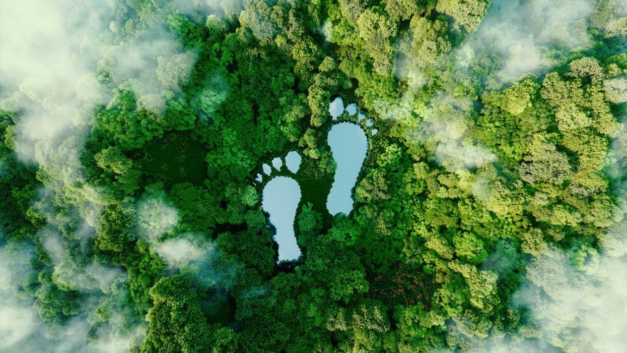 A lake in the shape of human footprints in the middle of a lush forest as a metaphor for the impact of human activity on the landscape and nature in general. 3d rendering. carbon footprint