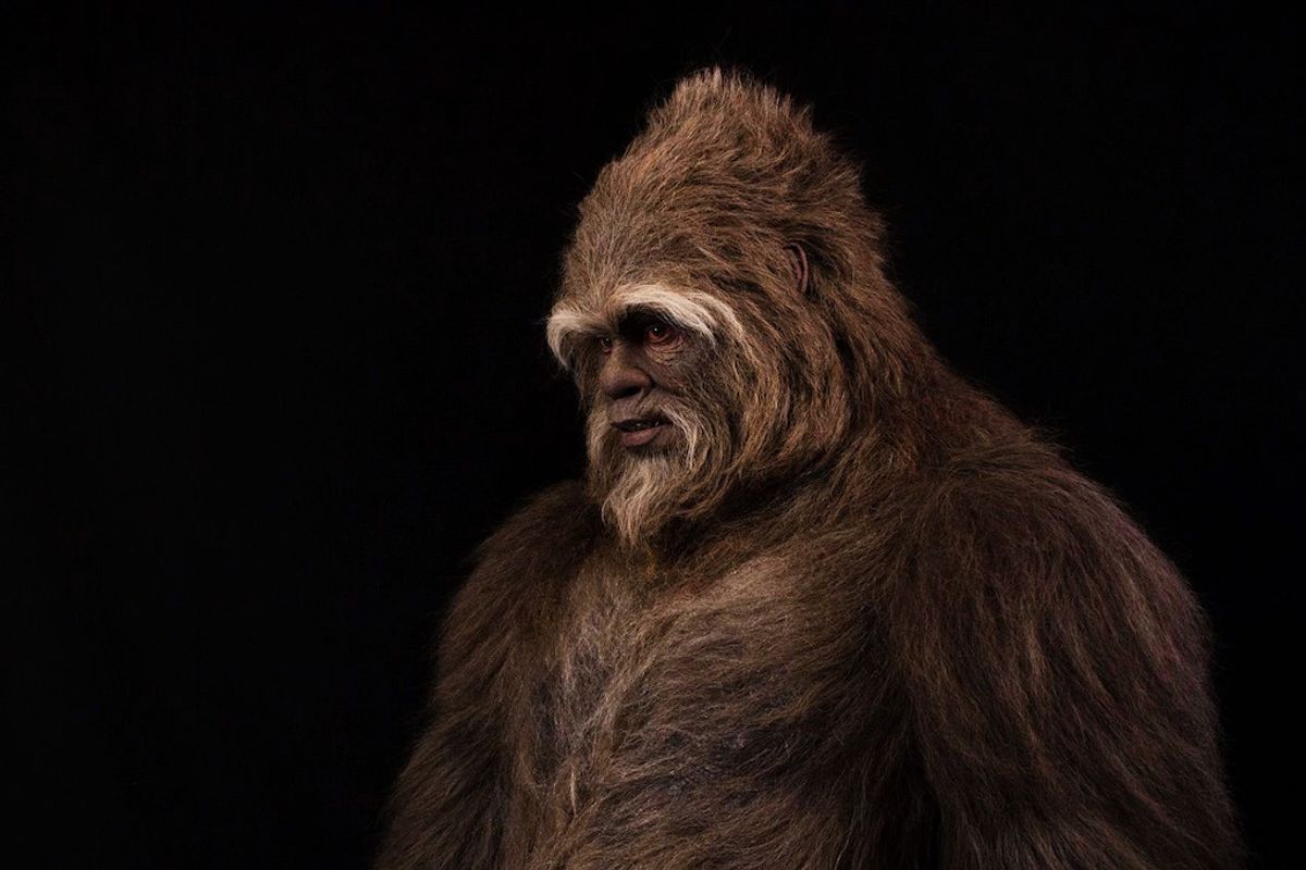A large, furry creature with a gorilla-like appearance against a dark background.