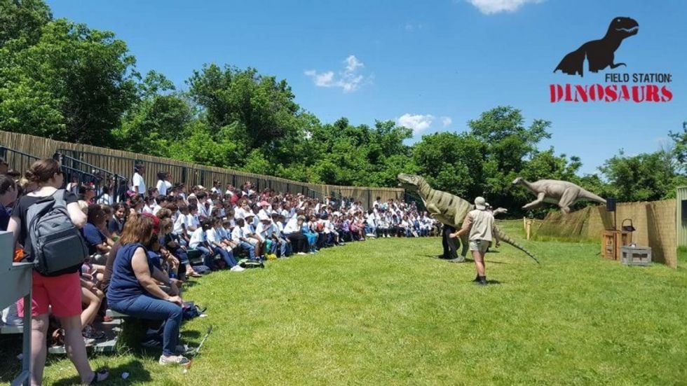 A live show at Field Station Dinosaurs.
