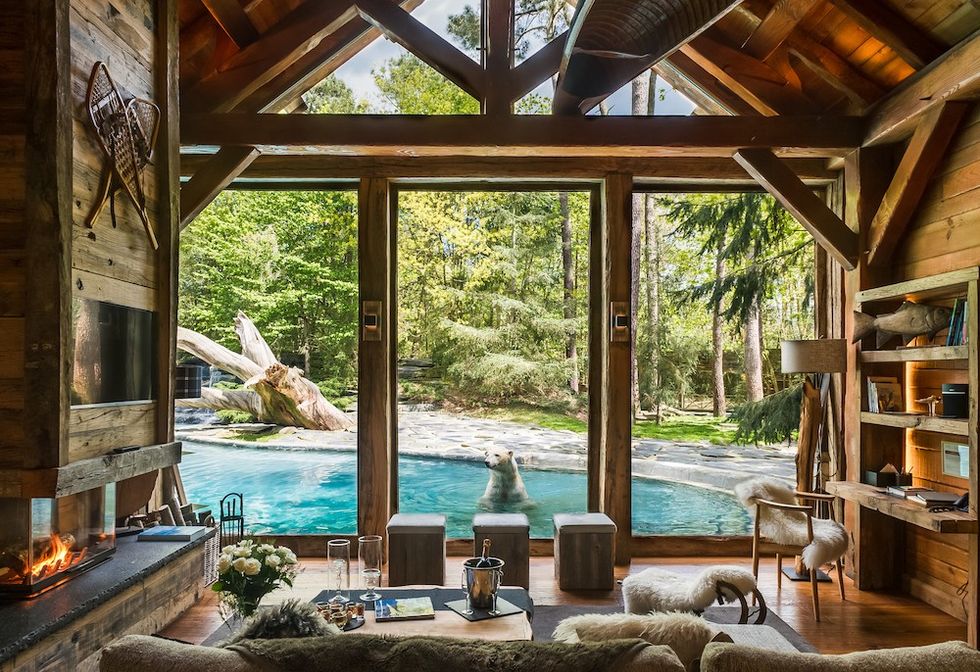 A preview of the immersive accommodation planned at Zoo de la Fléche