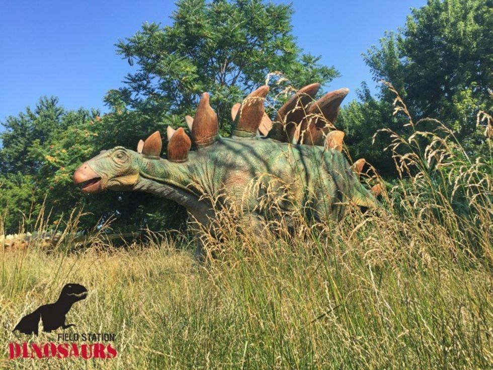 A Stegosaurus at Field Station Dinosaurs
