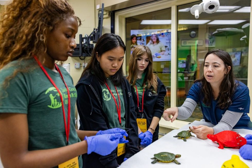 A teacher guides students examining turtles during a hands-on science lesson.