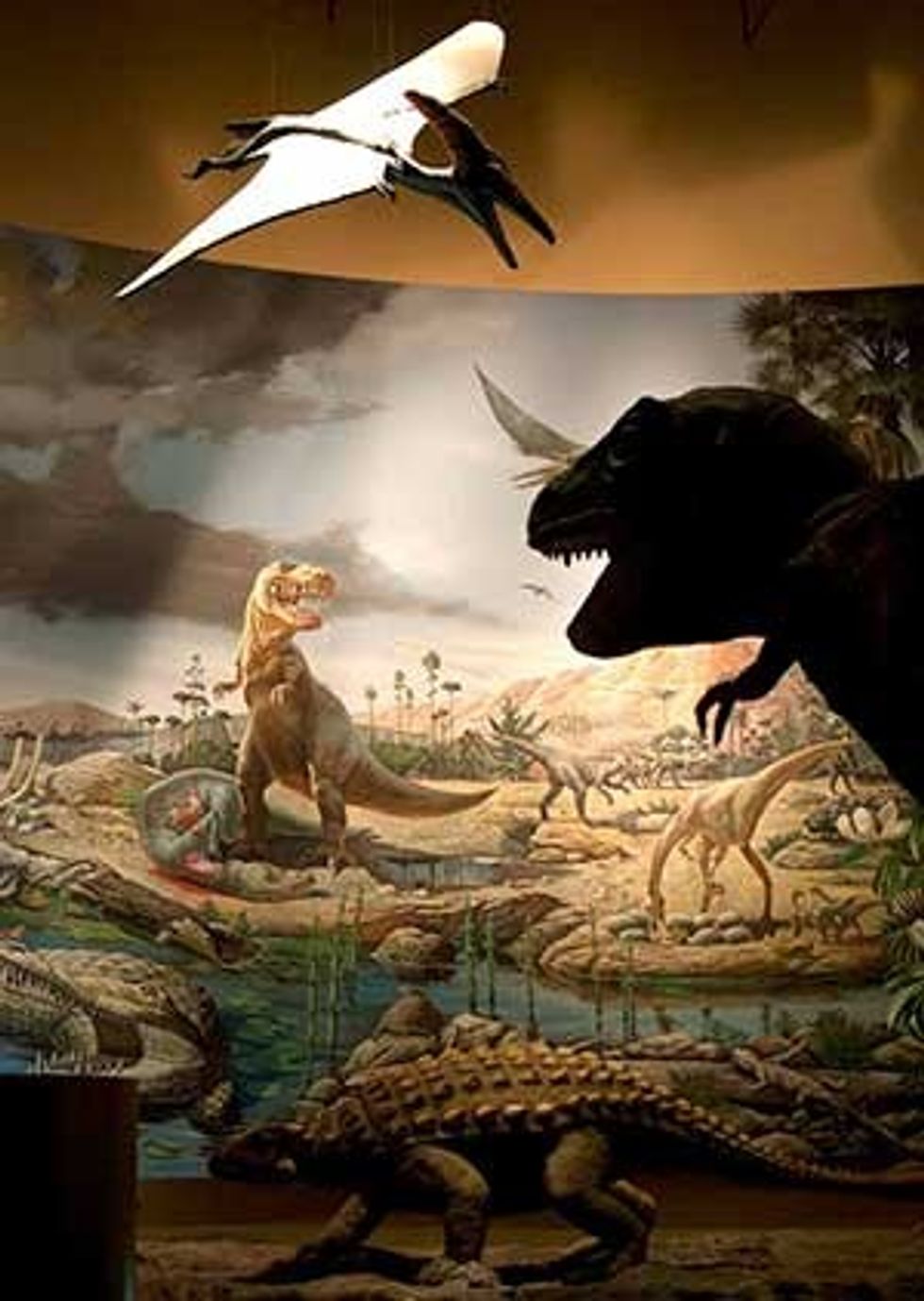 a walk through time Fernbank Museum of Natural History