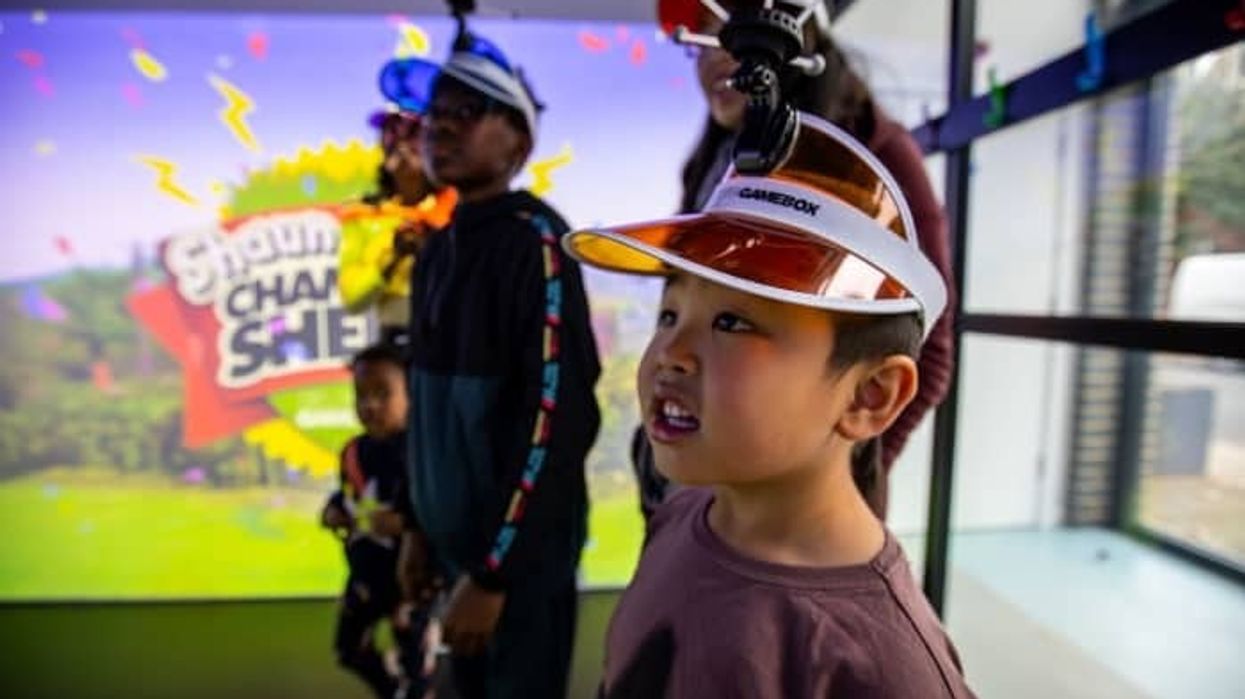 Aardman Shawn the Sheep Championsheeps