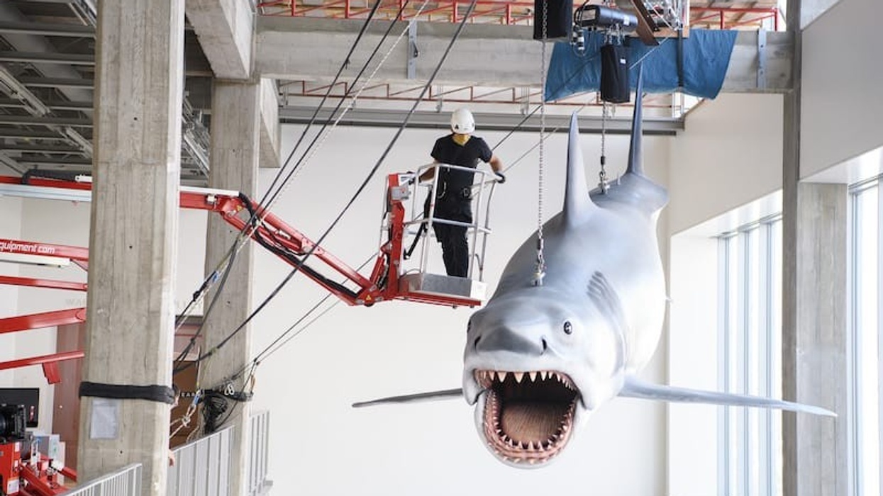 academy museum jaws model