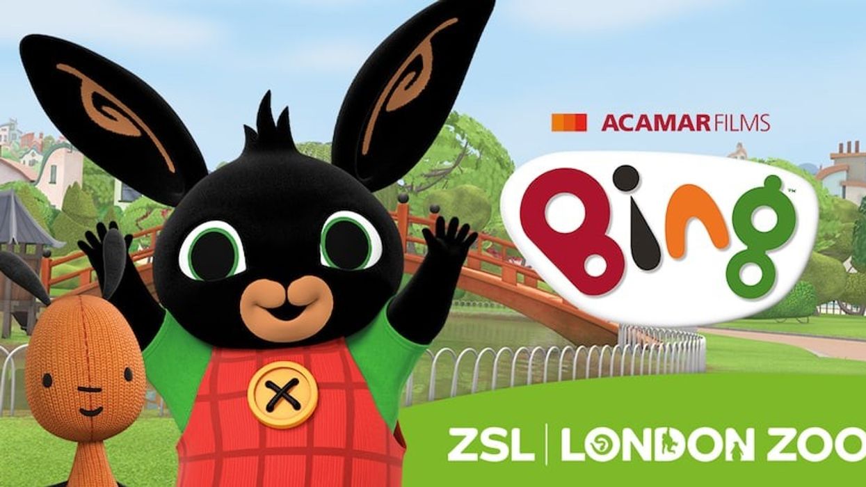 Acamar_Bing_ZSL_London Zoo