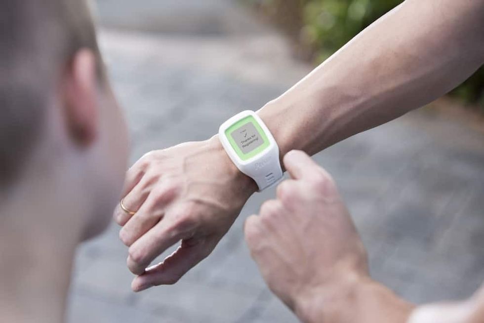 accesso Prism band attractions technology solutions