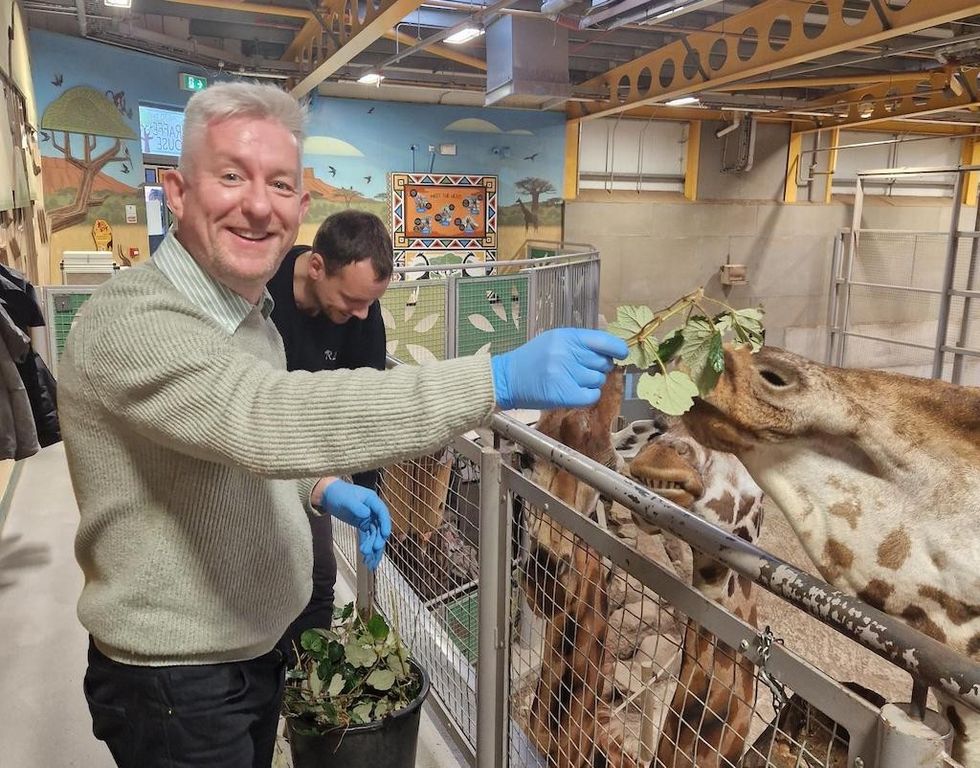 ACE CEO Gordon Morrison feeding giraffe