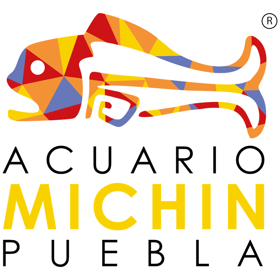 ACUARIO MICHIN aquarium logo