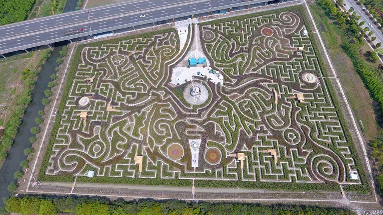 Adrian Fisher ningo world's largest hedge maze butterfly