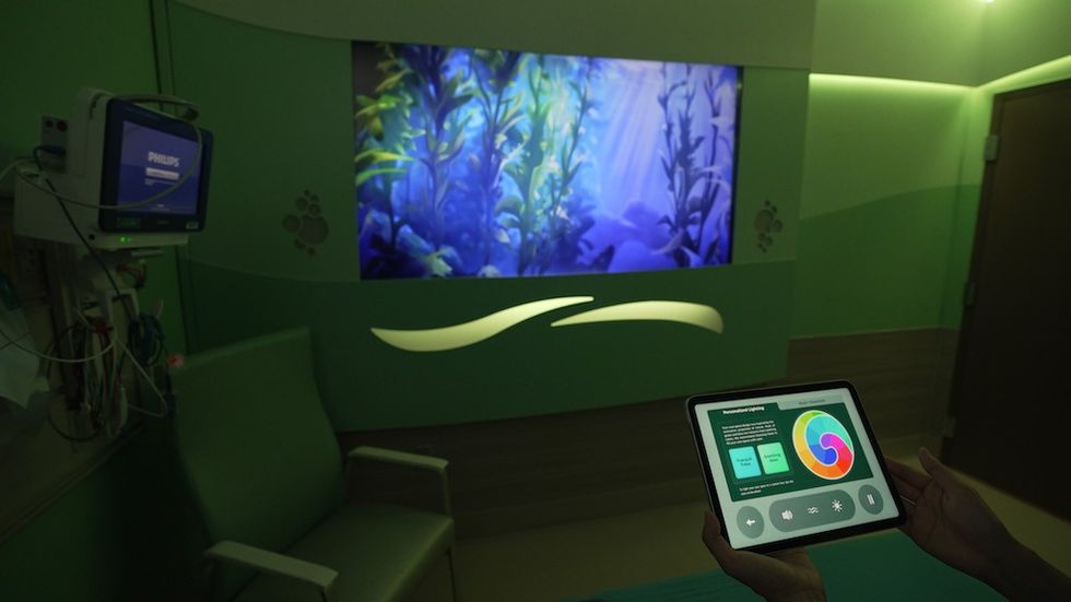 AdventHealth Flamingo ER custom lighting
