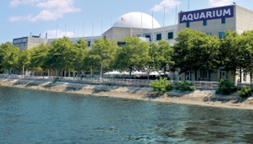 Adventure Aquarium New Jersey