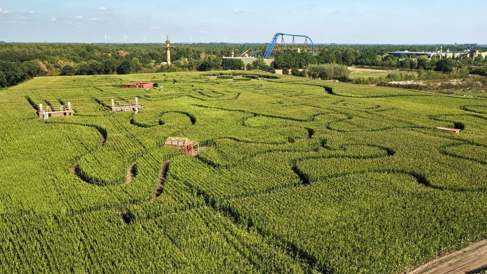 Aerial view of a large corn maze with pathways and structures, and trees in the background at Toverland