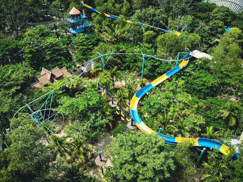 Aerial view of a winding blue and yellow slide through lush green foliage.