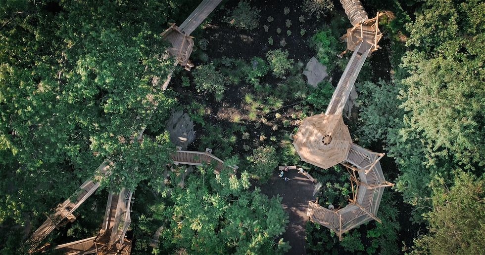 Aerial view of wooden walkways and platforms in a lush green forest.
