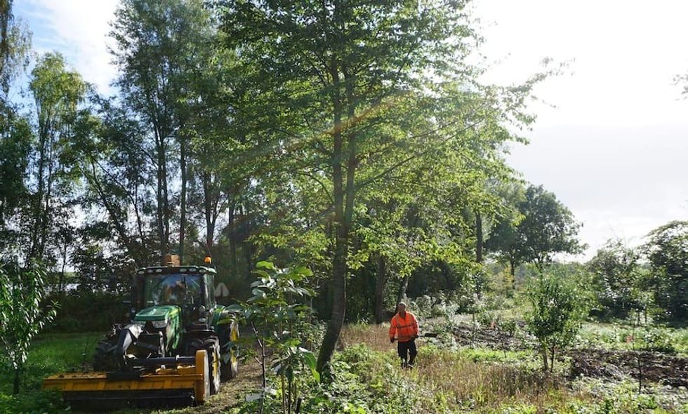 Agroforestry at Floriade