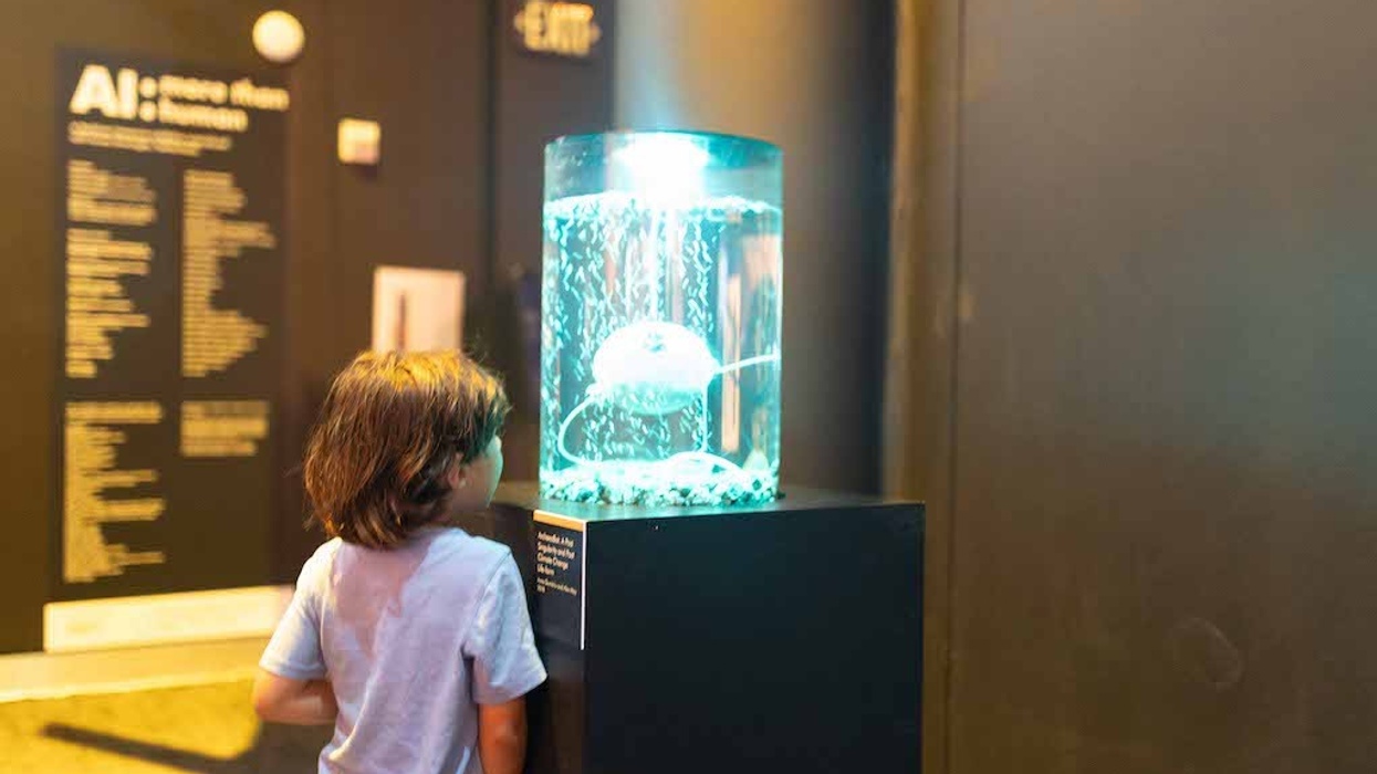 AI More than Human Barbican