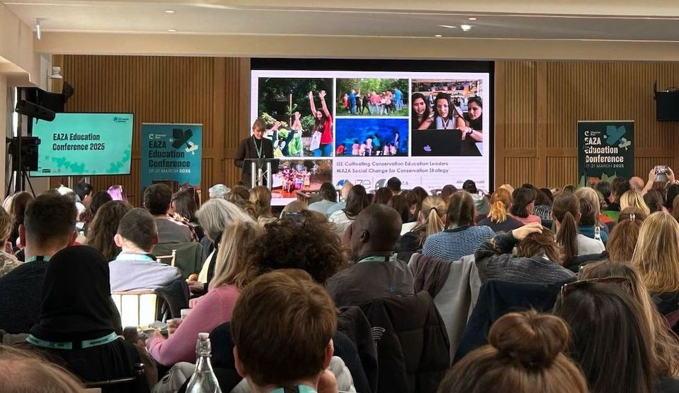 Aileen Tennant presenting about IZE at the EAZA Conservation Education Conference at Chester Zoo