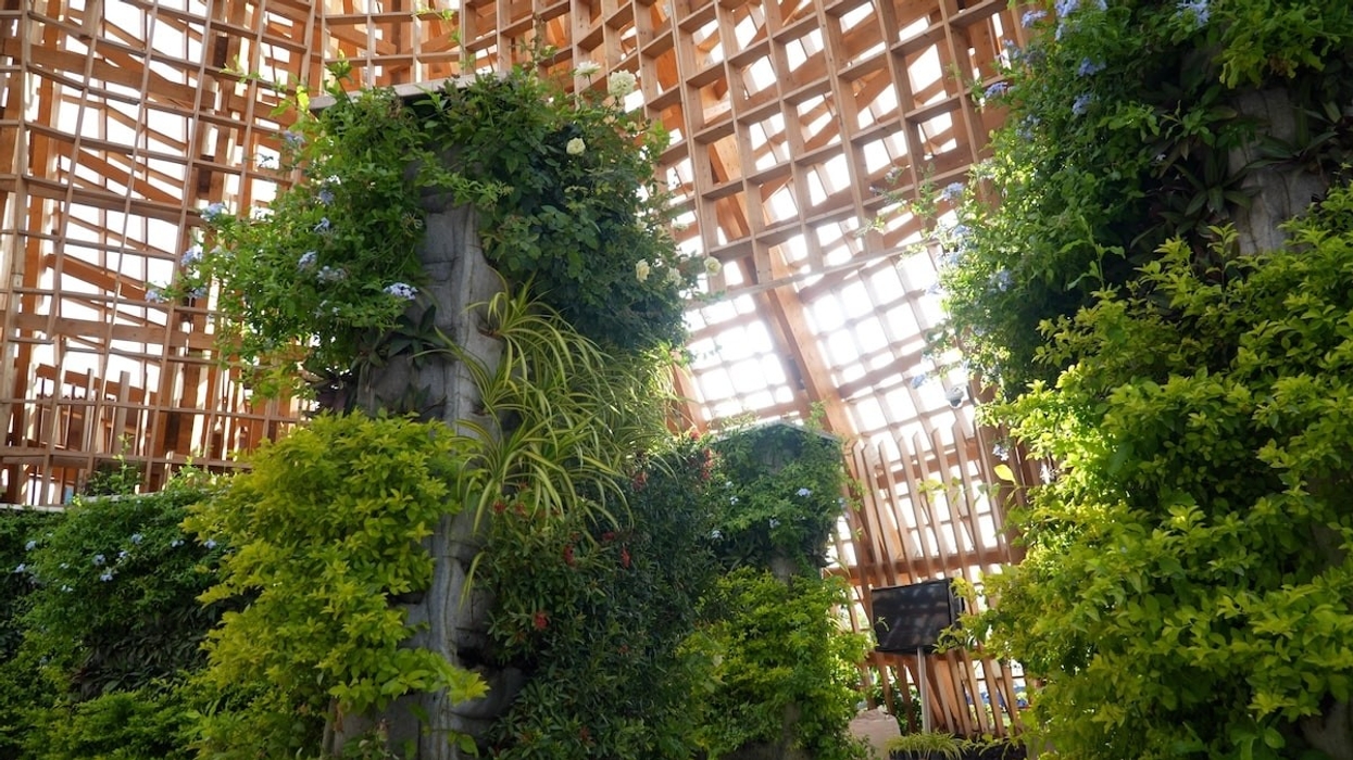 AIPH Pavilion and Garden at Expo 2023 Doha