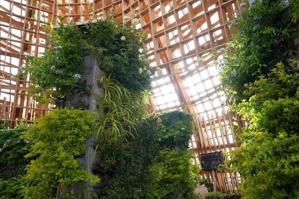 AIPH Pavilion and Garden at Expo 2023 Doha