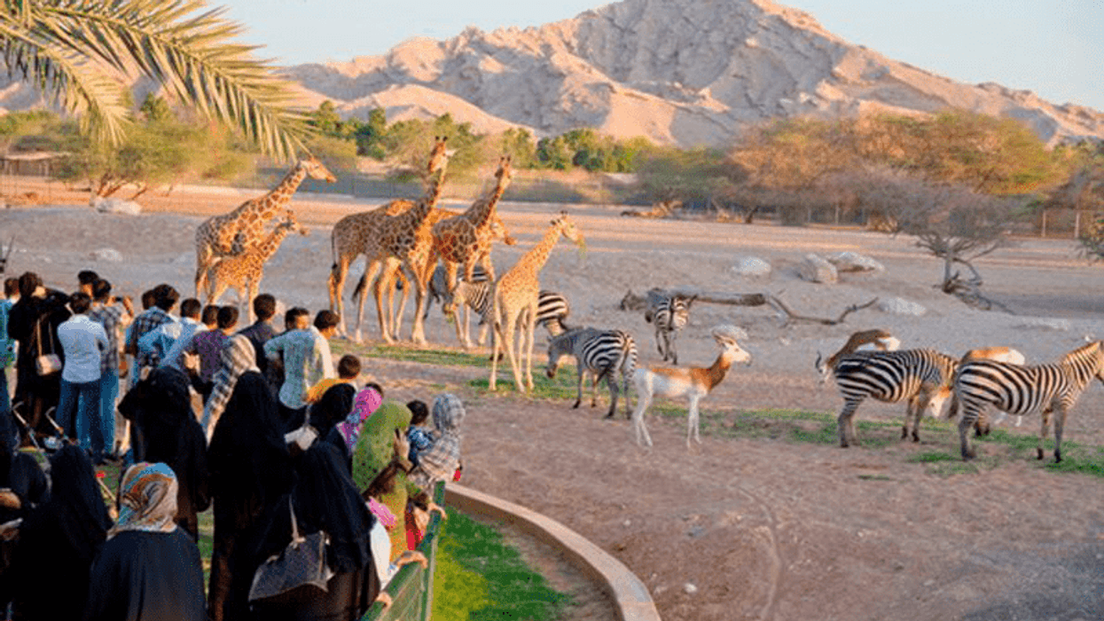 al ain zoo expansion