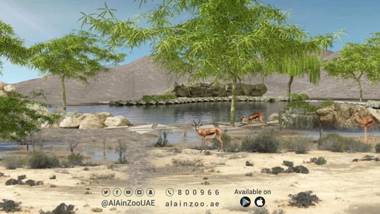 al ain zoo nature reseve