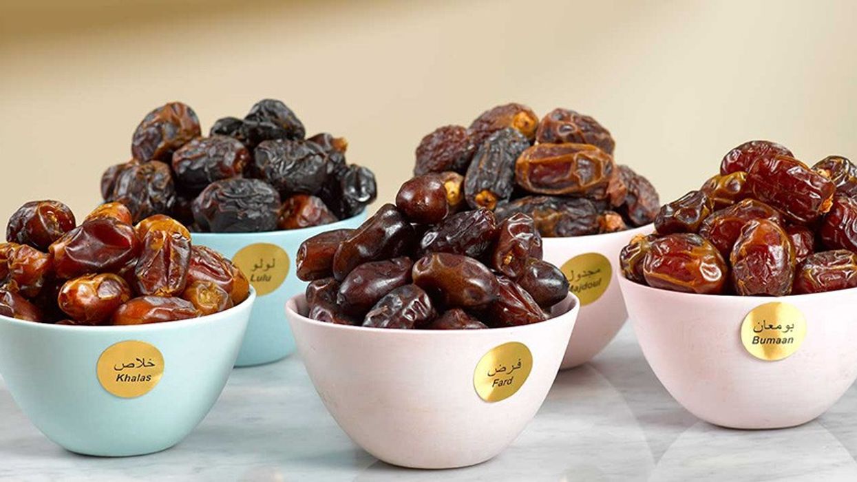 al foah date farm abu dhabi