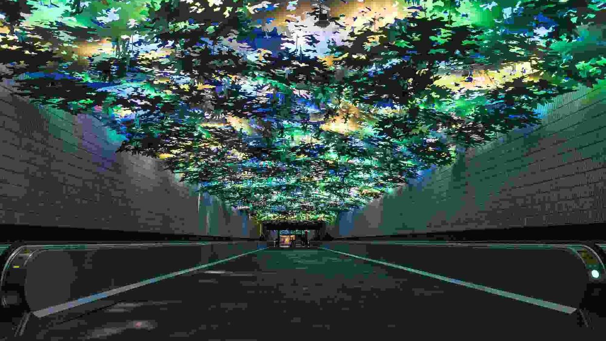 Alcorn McBride Powers Steve Waldeck 'Flight Paths' at Atlanta International Airport