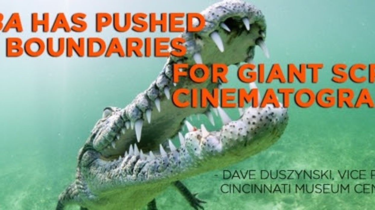 Alligator in CUBA film by BBC Earth, GSF