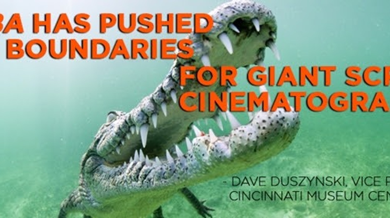 Alligator in CUBA film by BBC Earth, GSF
