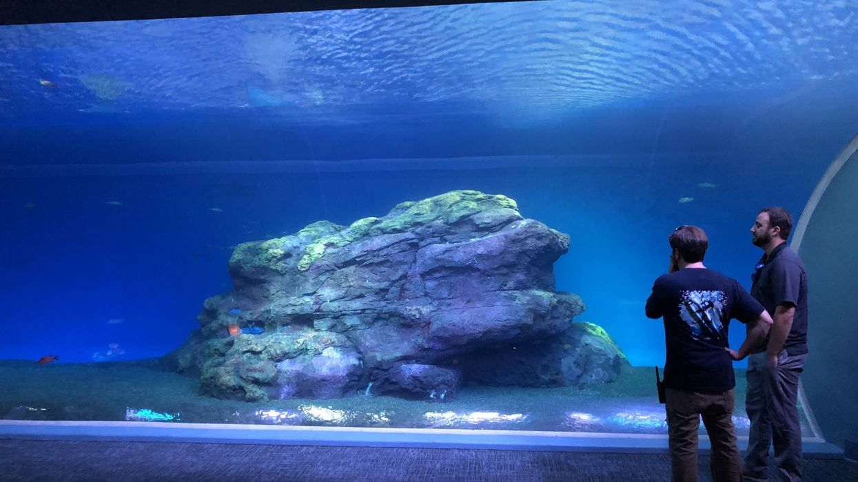 ALSI Aquatic Life Support Aquarium with two people stood in front
