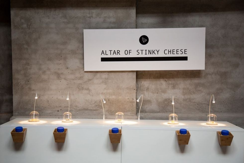 Altar of stinky cheese, Disgusting Food Museum