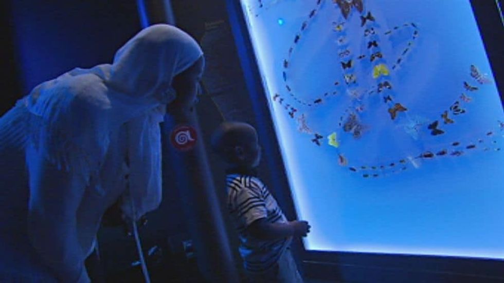 AlterAmina Exhibition - What can museums learn from attractions