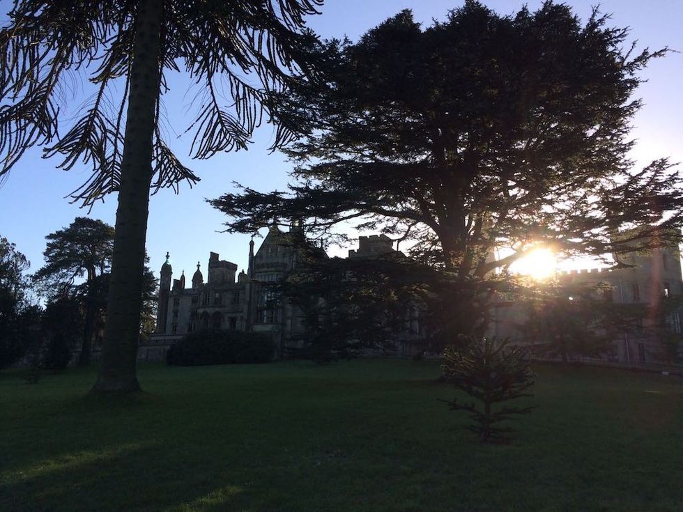 Alton Towers through the trees