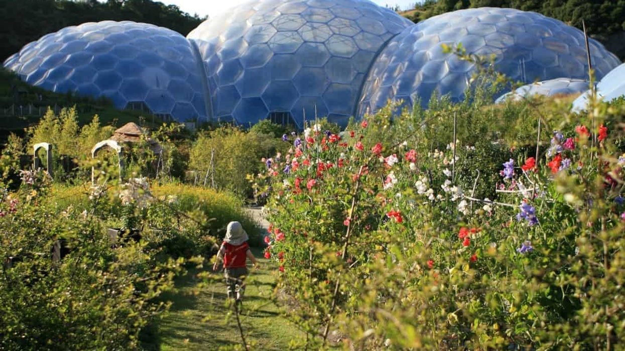 ALVA member The Eden project domes and gardens in the summer