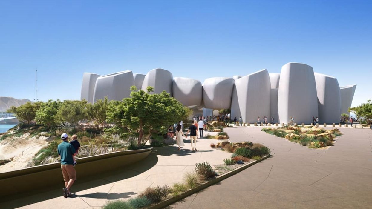 amaala marine life institute