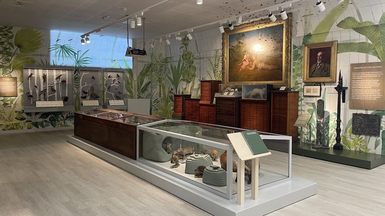 Amelia Scott Building Metaphor