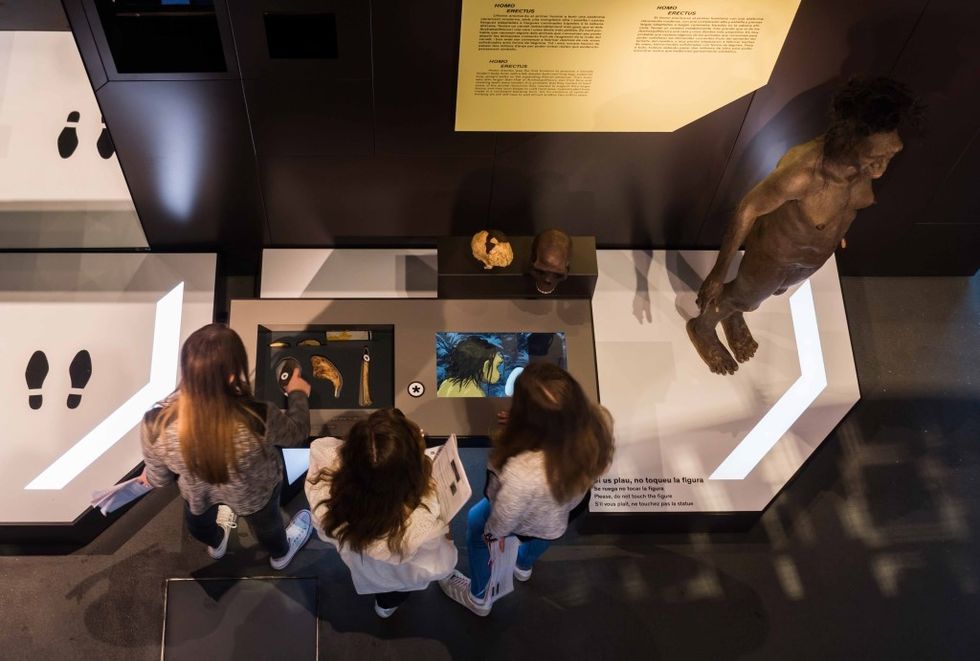 American Museum of Natural History Fundación La Caxia Mirrors