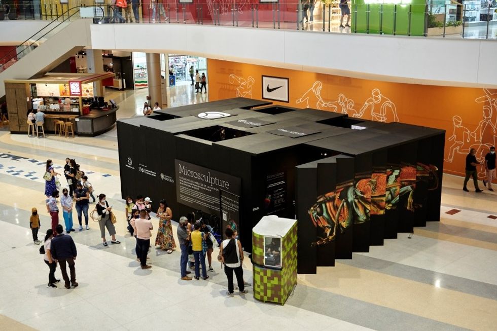 American Museum of Natural History Microsculpture Levon Biss Traveling Exhibition