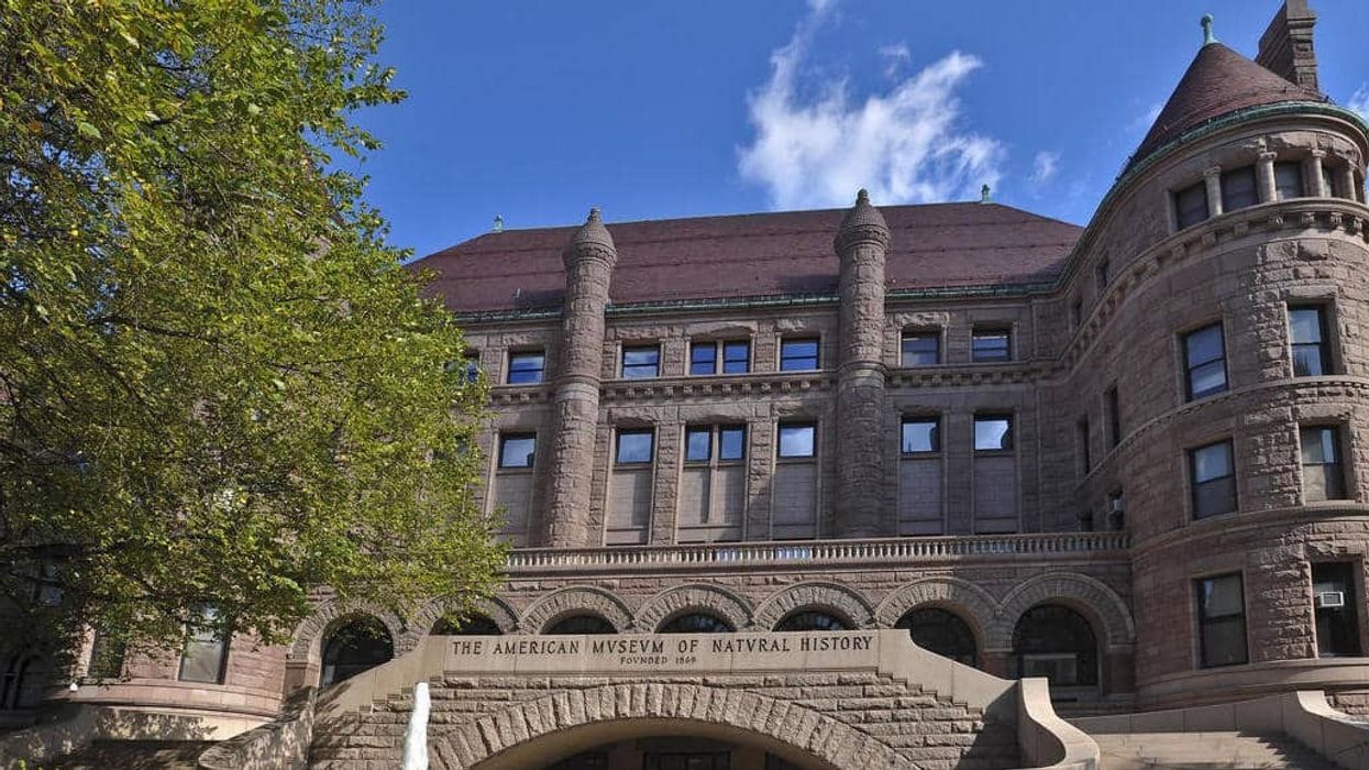 american museum of natural history