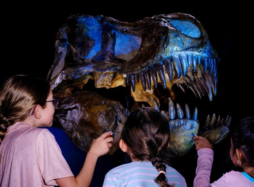 american museum of natural history