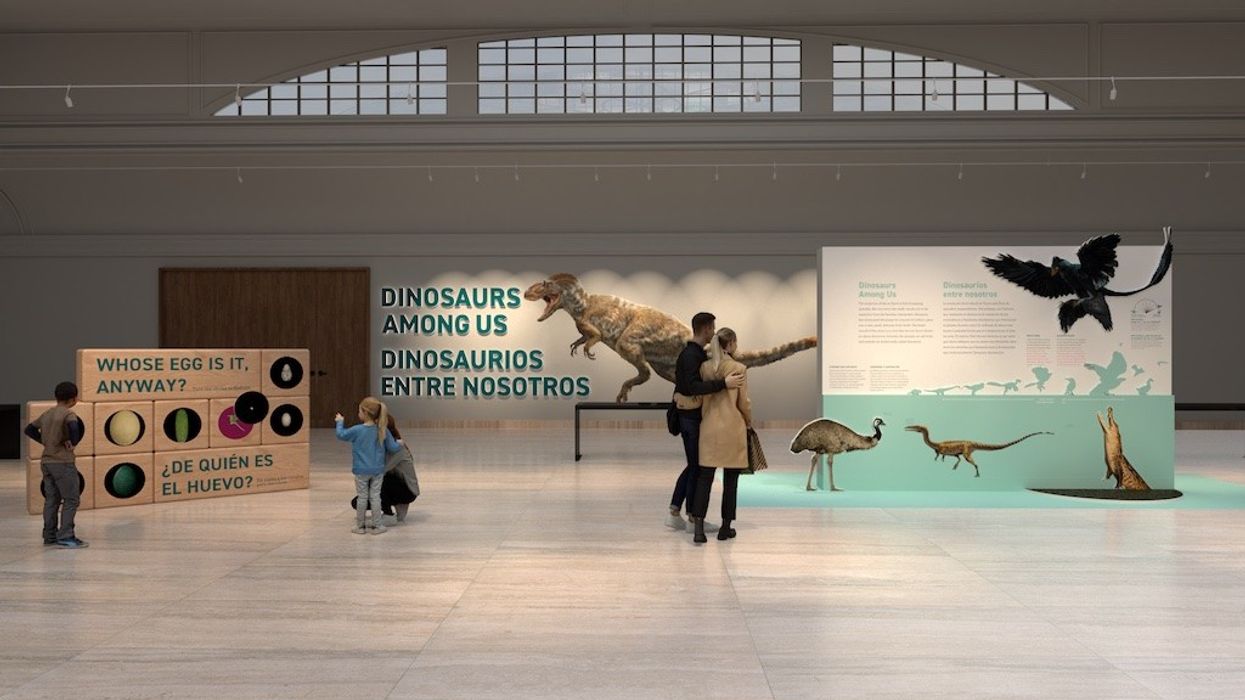 AMNH Dinosaurs Among Us