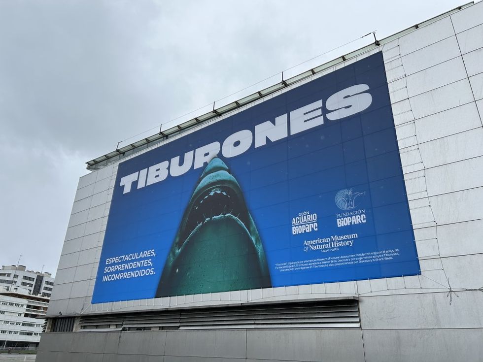 AMNH Sharks poster courtesy Bioparc Gijon, c. A Castellanos AMNH