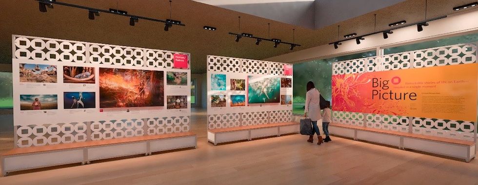 AMNH-tour-Big-Picture